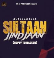 download Sultaan-Jindjaan-(Reply-To-Naseeb) Gurjaan Saab mp3